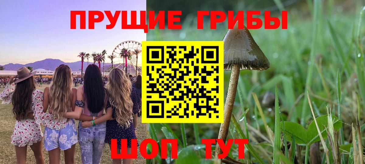 Псилоцибиновые грибы Cubensis  Вход с VPN  Грозный 