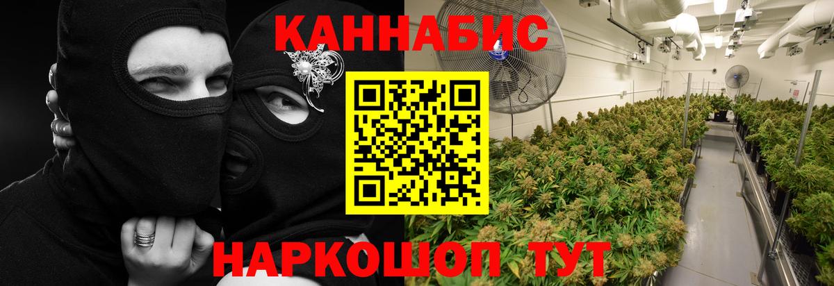 Бошки Шишки MAZAR Грозный